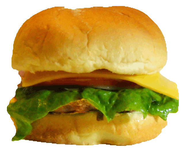 Turkey Burger